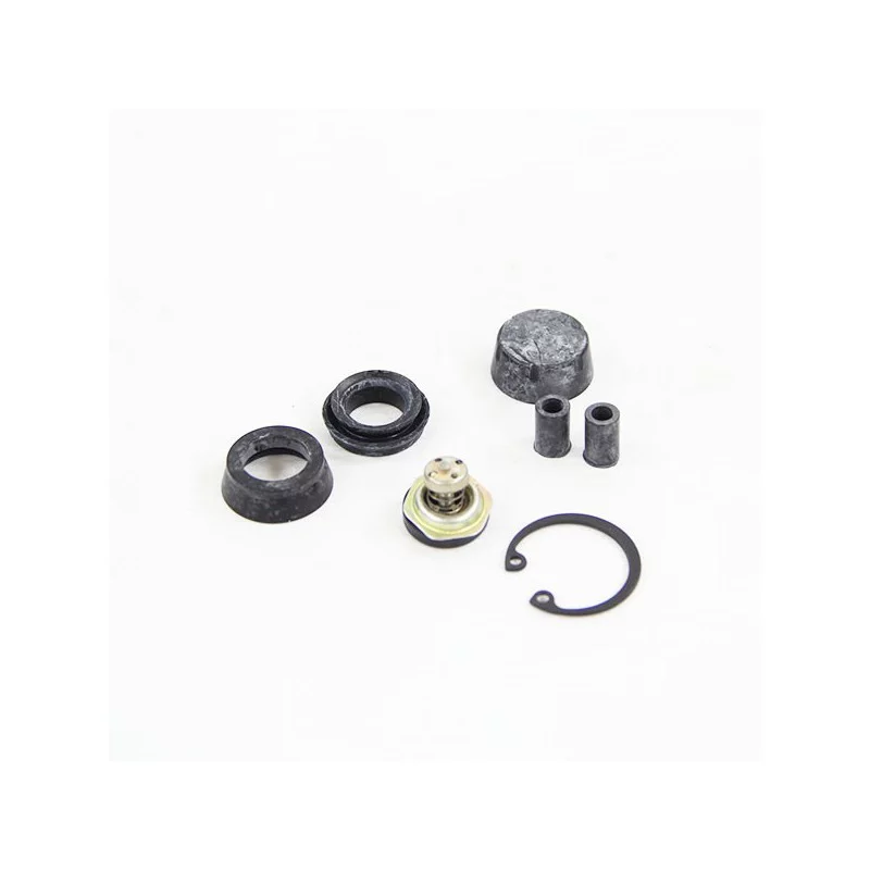 Master-cylinder repair kit diameter 20,6 mm DOT D2656