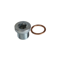 Kit bouchon de carter d'huile M18x150 + son joint en cuivre R4L