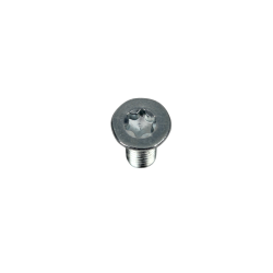 Vis de tambour de frein M6x14mm