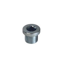 Bouchon de Carter d'Huile M18x150 Aimanté R4L
