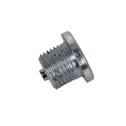 Bouchon de Carter Huile moteur aimanté R4L M16x150