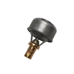 RL11603 Thermostat 89° 4L
