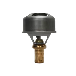 RL11603 Thermostat 89° 4L