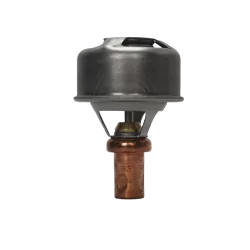 RL11601 Thermostat 83° R4L