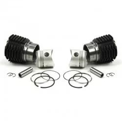 Liners, pistons, piston rings kit for 2CV6 D4163