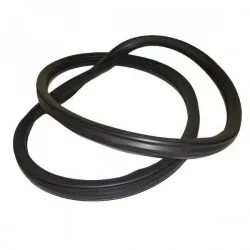Rear door window seal D1289
