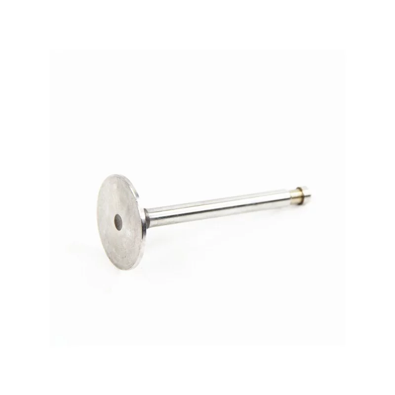 Inlet valve 425 since march 1963 D4246