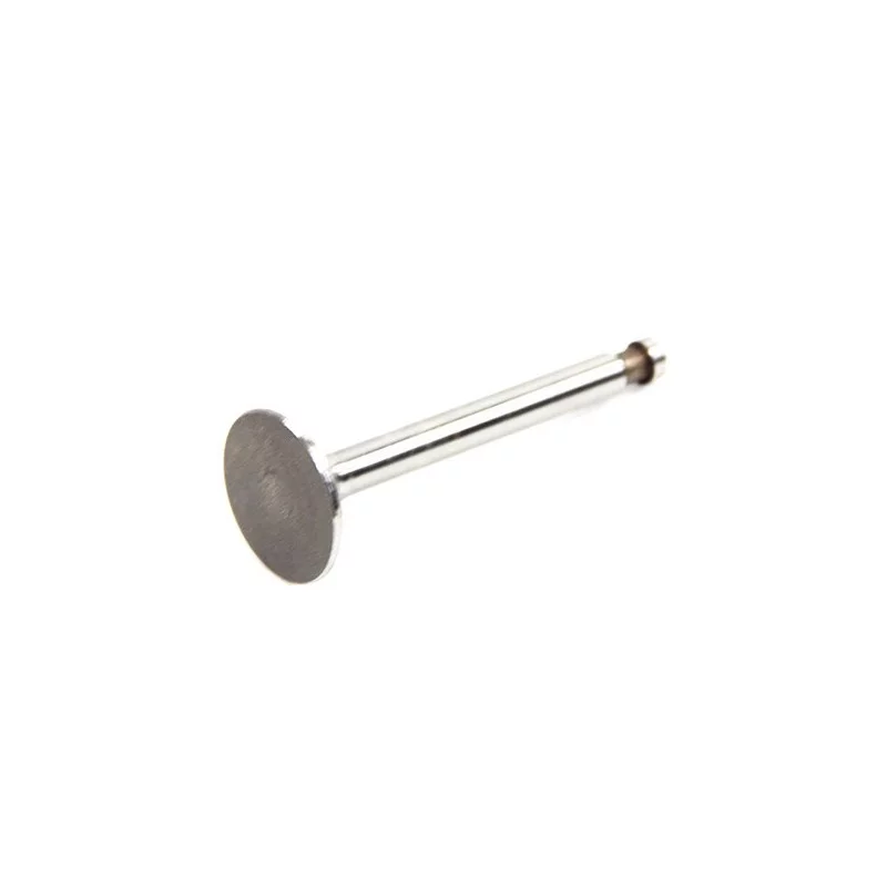 Exhaust valve 425 since march 1963 D4247