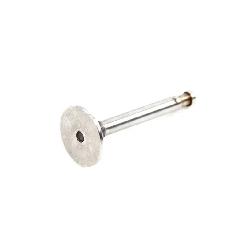 Exhaust valve 425 09-1954 to 02-1963 D4238