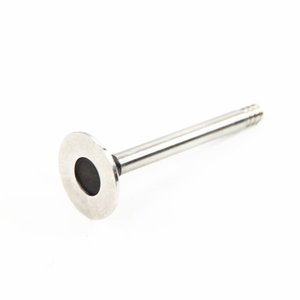 Exhaust valve 2CV4 - 435