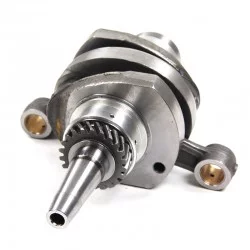 Vilebrequin 602cc D4195