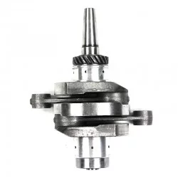 Vilebrequin 602cc D4195