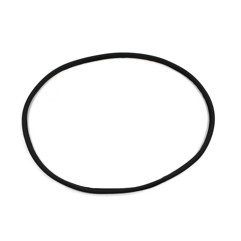 Rear door window seal D1289