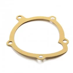 Grand joint de couvercle de pompe à eau DS19 DS621262