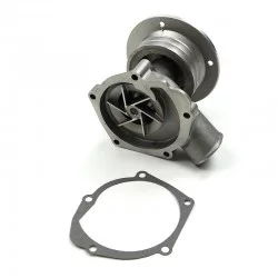 Pompe à eau DS621281