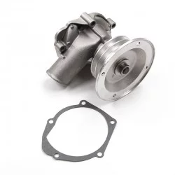 Pompe à eau DS621281