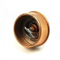 Thermostat 75gr calorstat DS621941