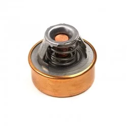 Thermostat 75gr calorstat DS621941