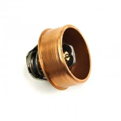 Thermostat 75gr calorstat DS621941