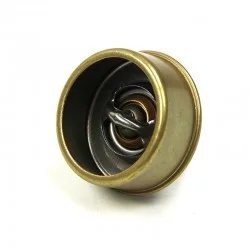Joint + thermostat 79gr - BW à partir de 02/72, DX DJ DY à partir de 07/72 DS621942